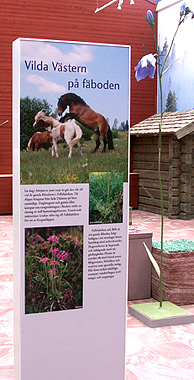 Naturum Dalarna